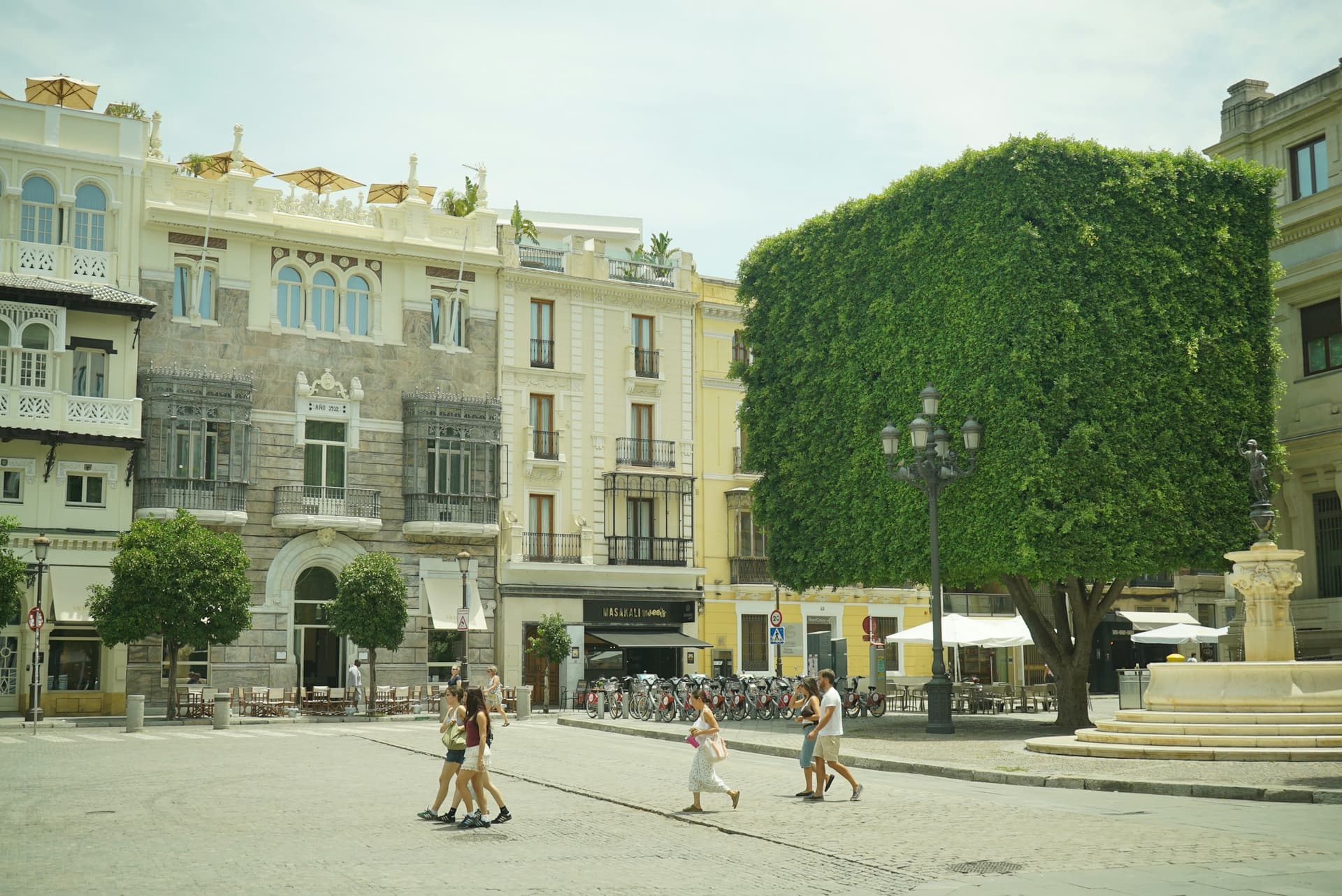 People walking in a sunny European square with a cube-shaped tree