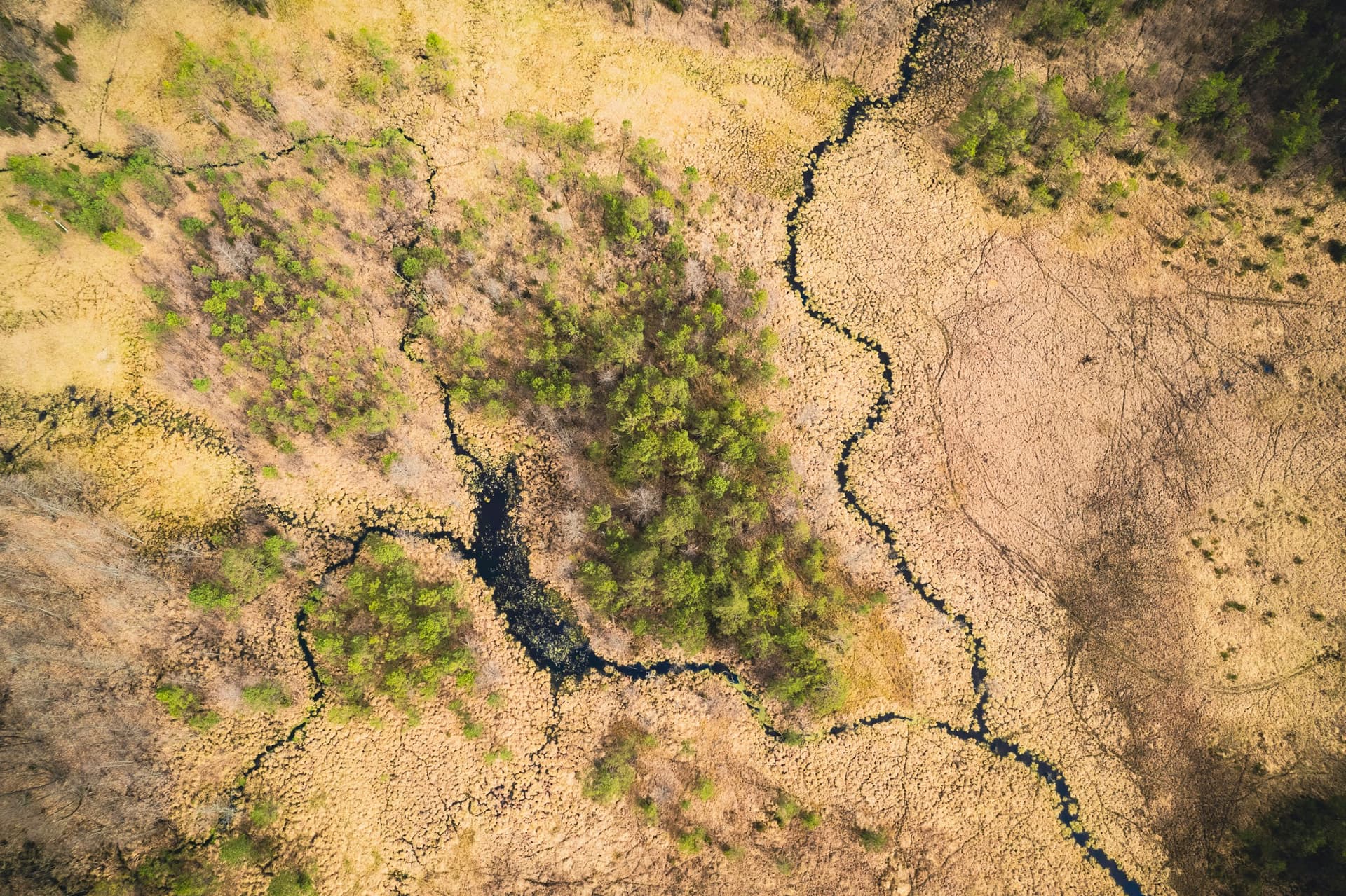 una veduta aerea di un'area erbosa attraversata da un fiume