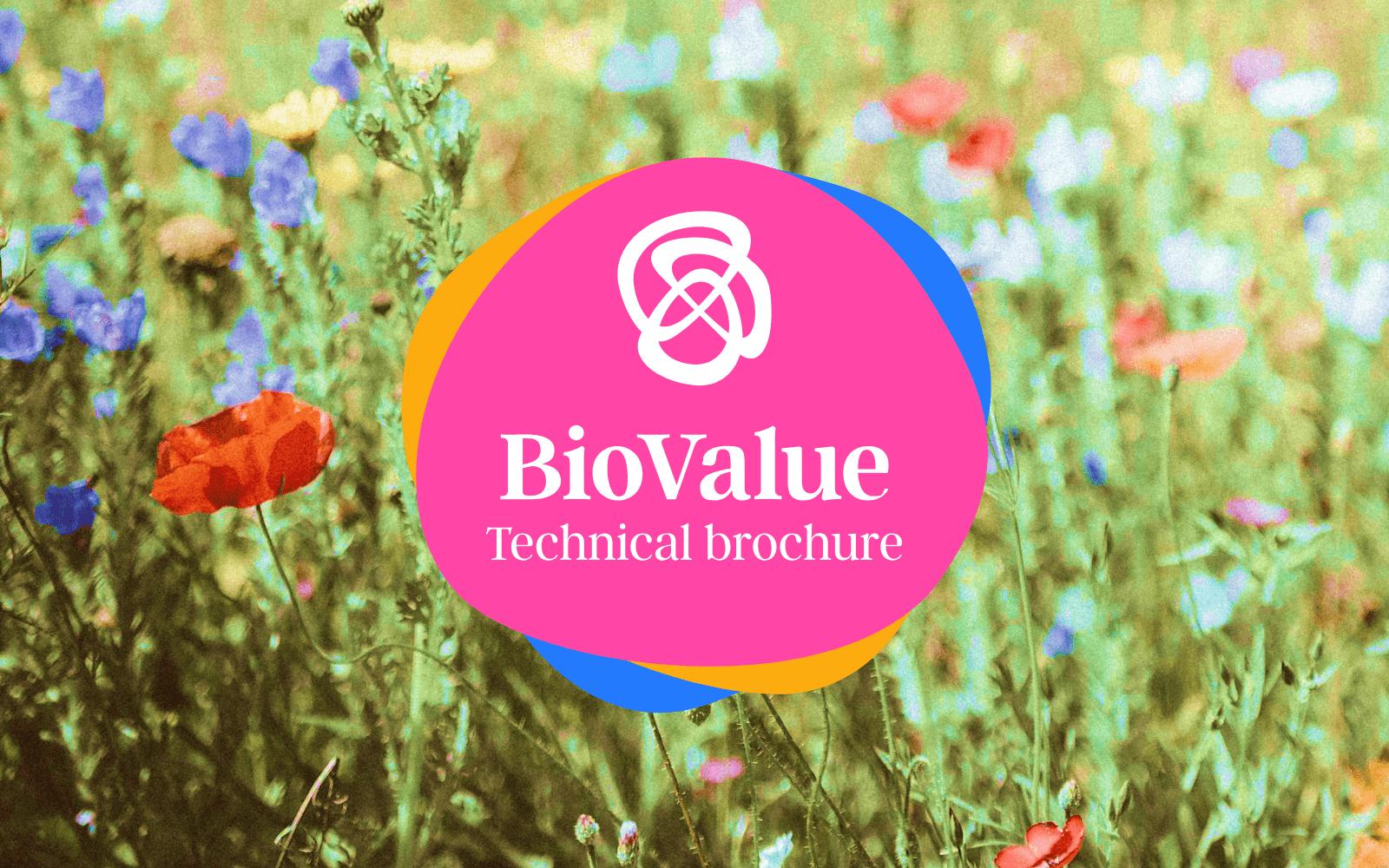 Towards transformative change for biodiversity in spatial planning — cover page