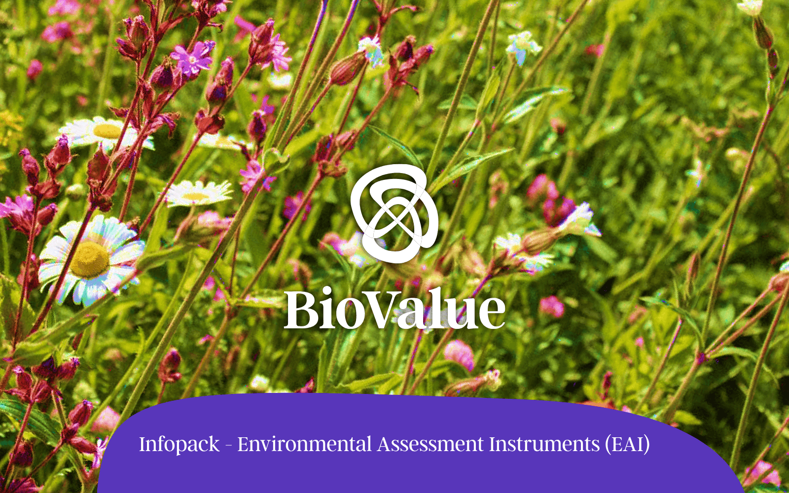 Infopack - Environmental Assessment Instruments (EAI) — cover page