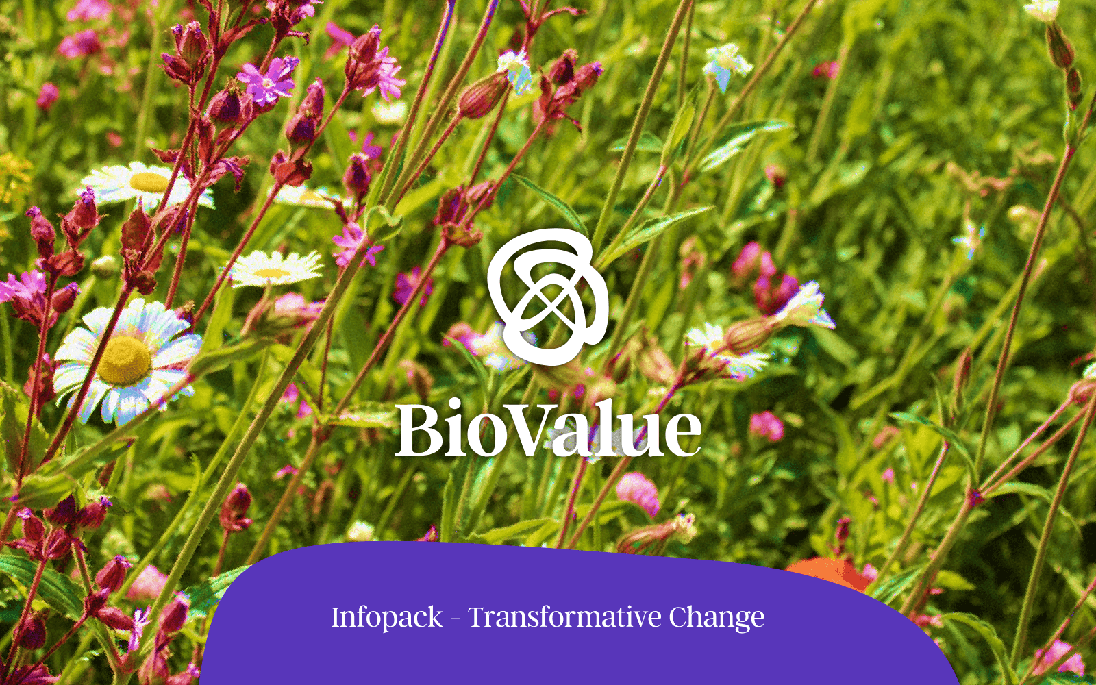 Infopack - Transformative Change — cover page