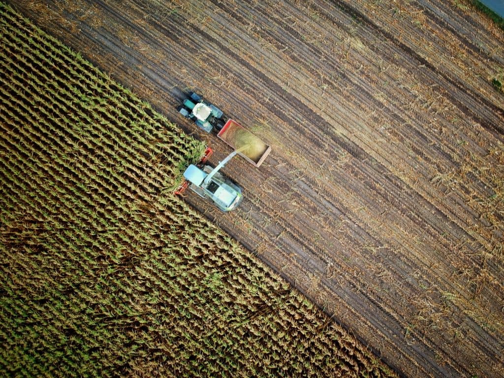 Image from walnutproject.eu