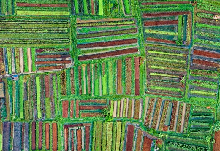 photo fields taken from above