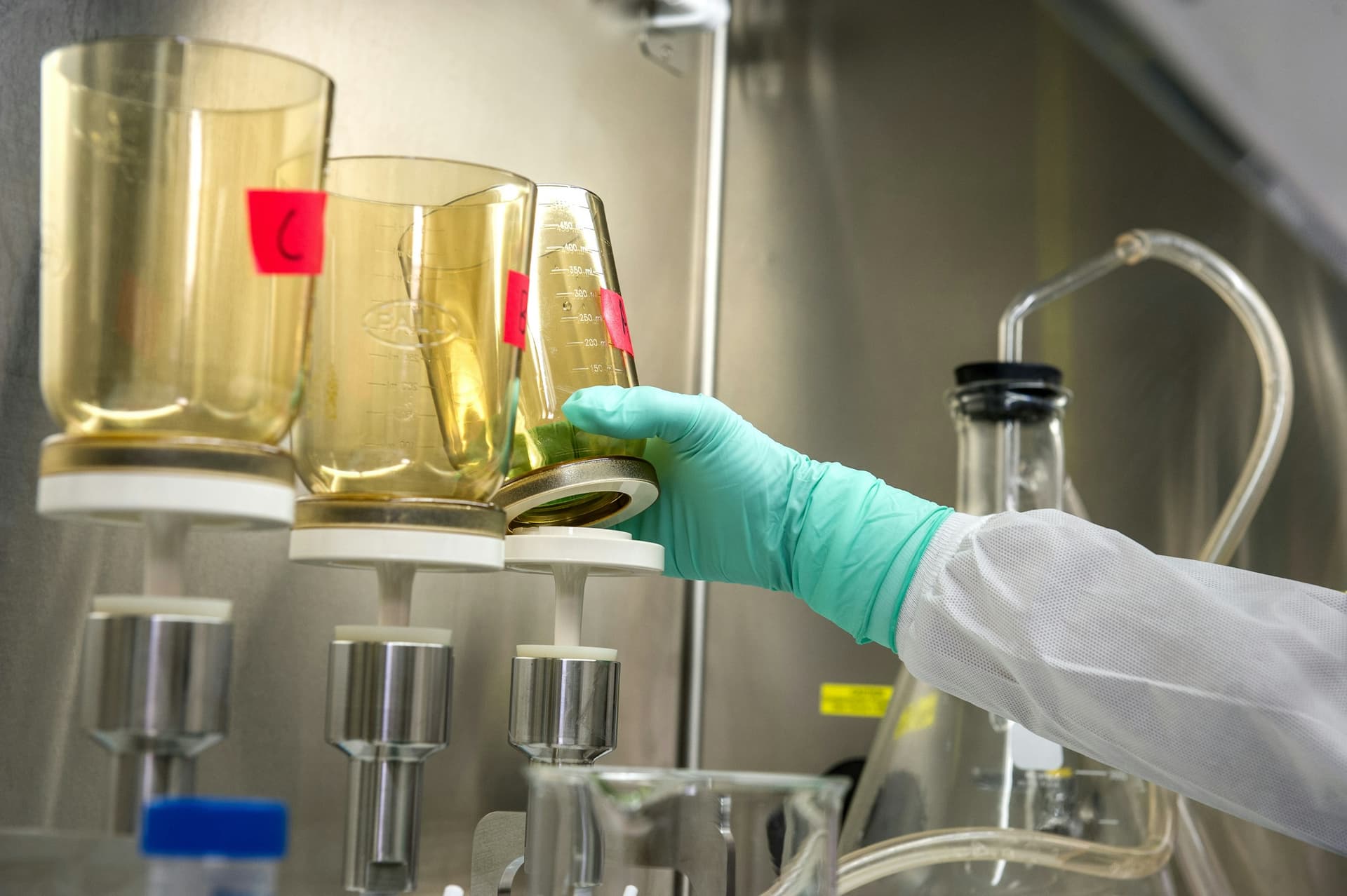 This photograph was captured during one of the steps in a new environmental surveillance technique, that is being piloted in other labs. It is established on a