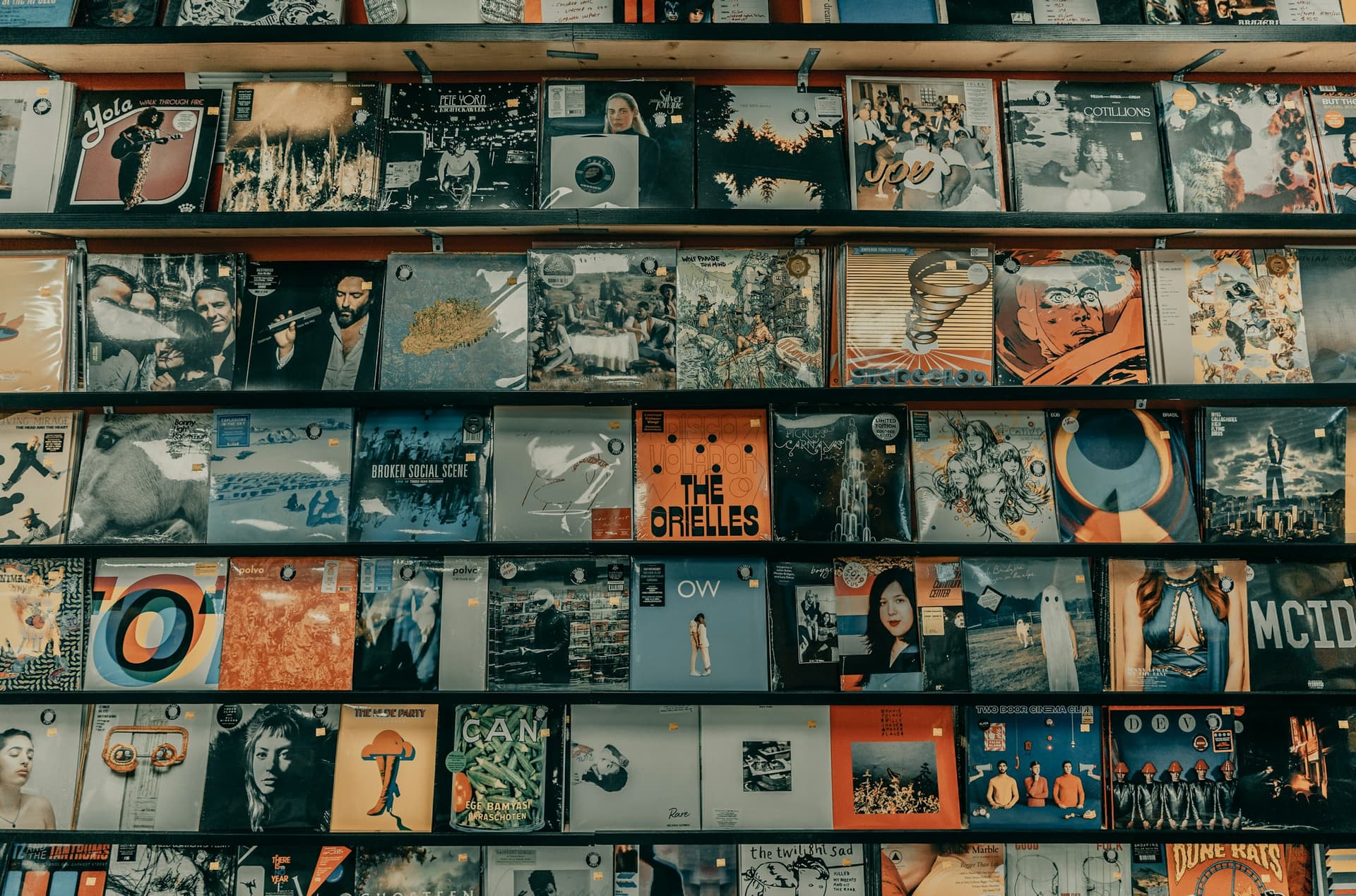 Rows of vinyl record albums on wooden shelves in a music store