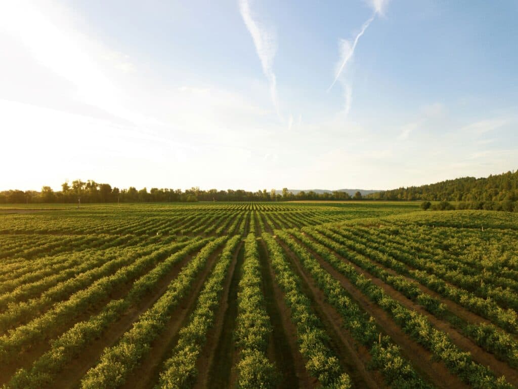 Image from agro2circular.eu